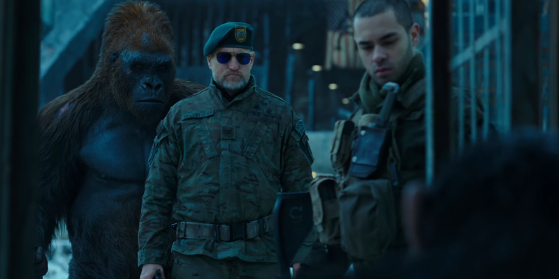 The Colonel, played by Woody Harrelson, is all too aware of the virus’s varied effects on humans and apes.